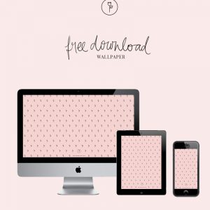 Clique para efetuar download.