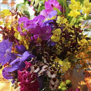 ORQUÍDEAS