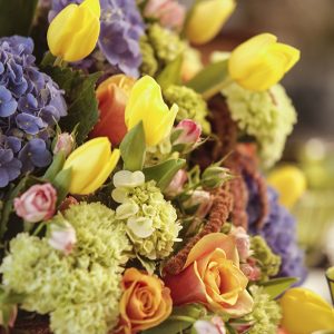 FLORES