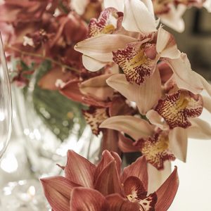 orquidea