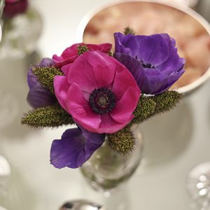 anemonas