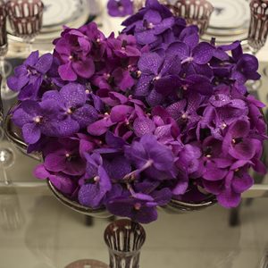 orquidea vanda