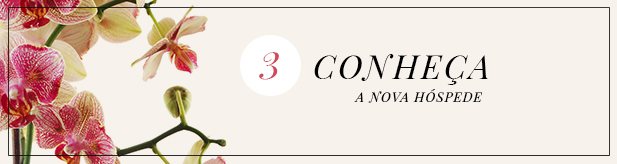 post orquideas - banner 3