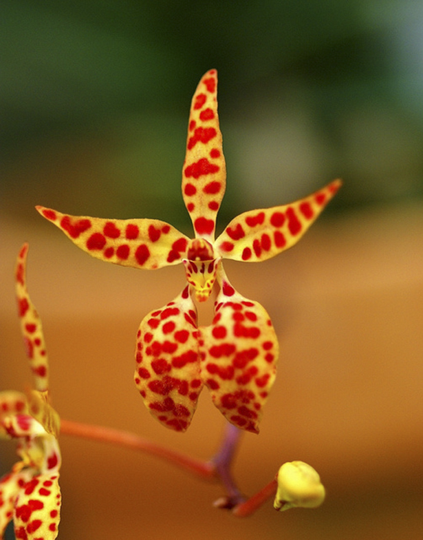 e247737fcd5efcda62492e7a1e63a268