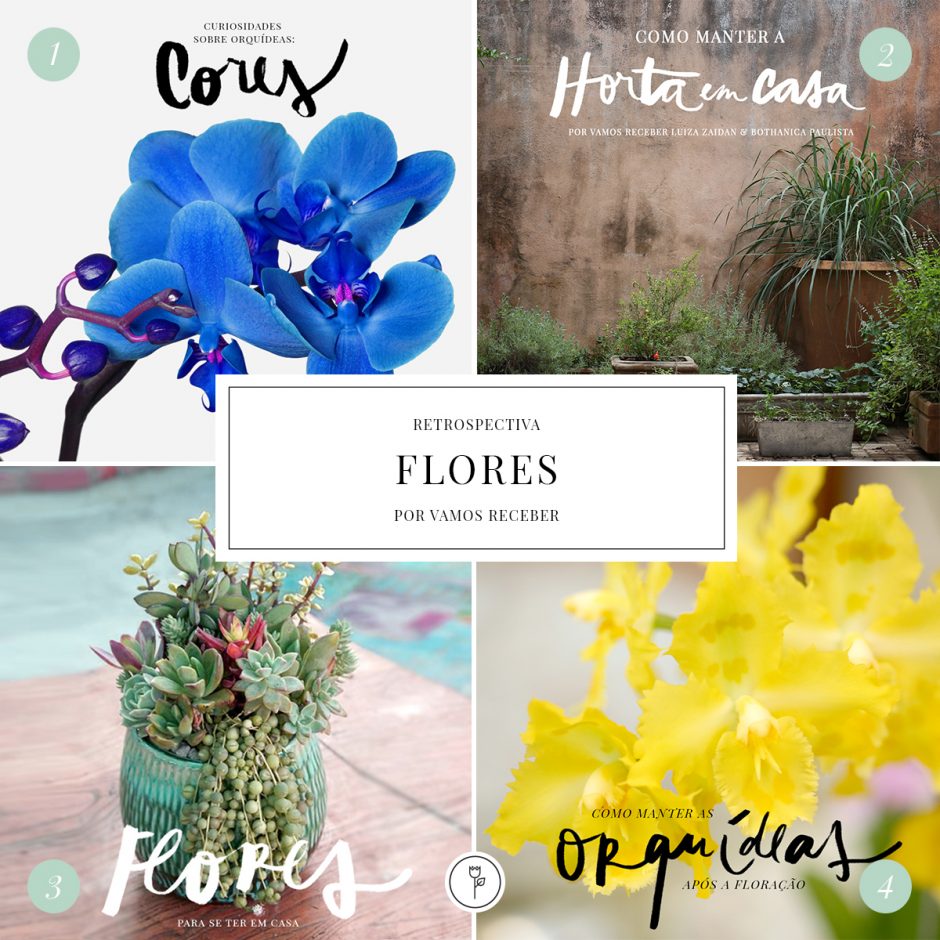Retrospectiva 2015 - Flores