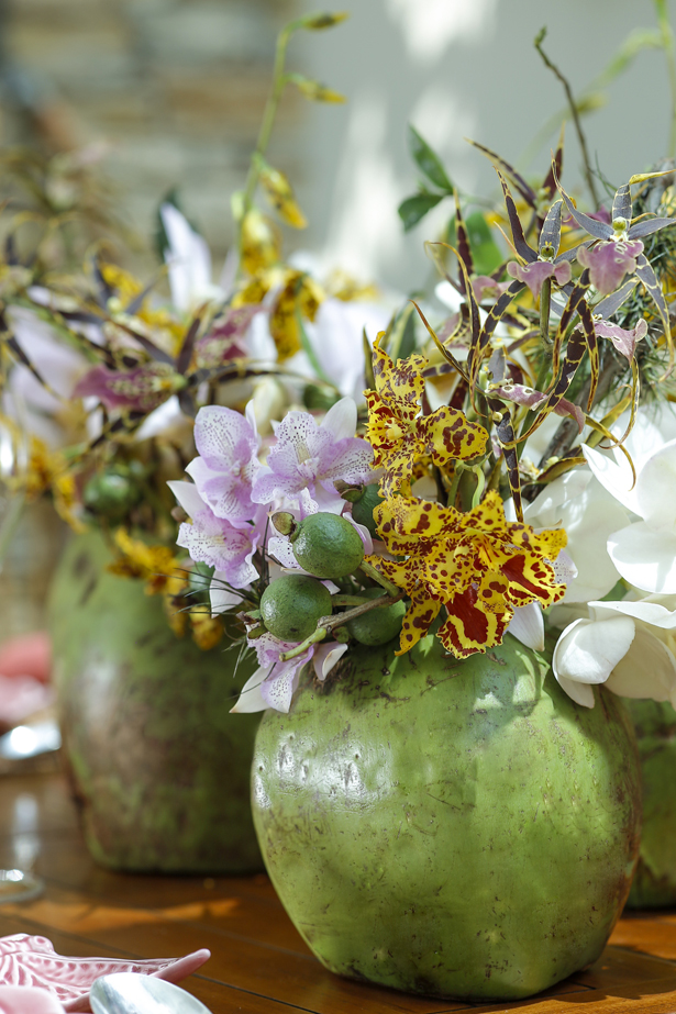 cachepot de coco verde 