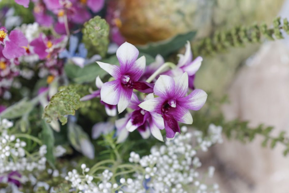 arranjos florais da Milplantas 