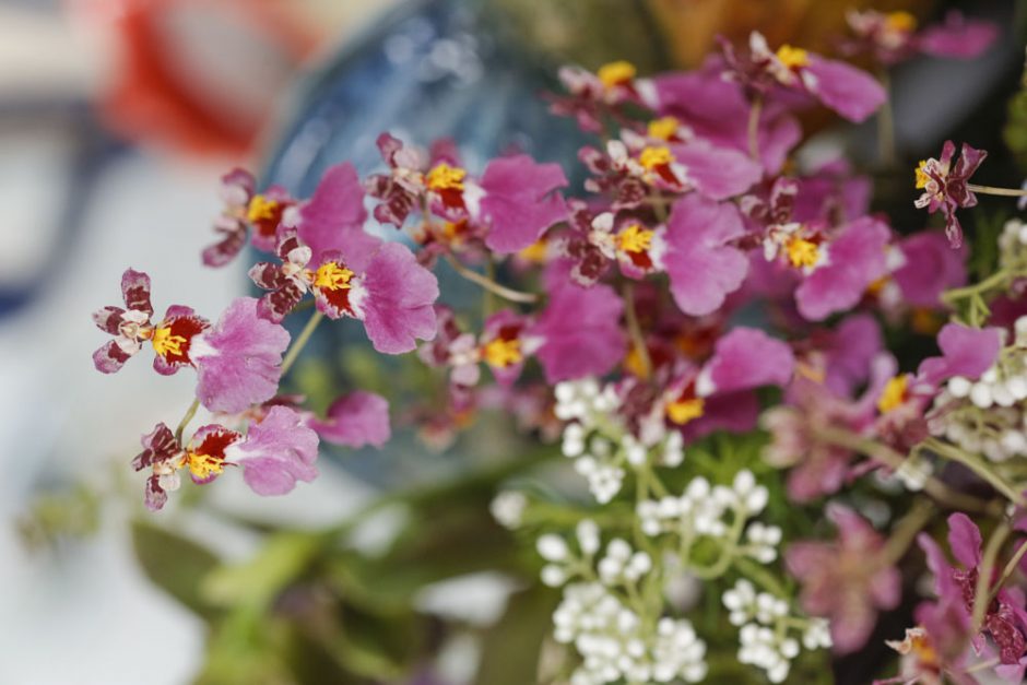 flores para cafe da manha 