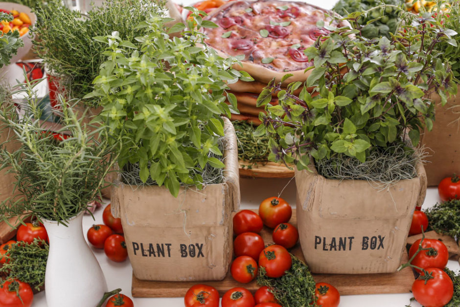 vasos rústicos de argila da D. Filipa