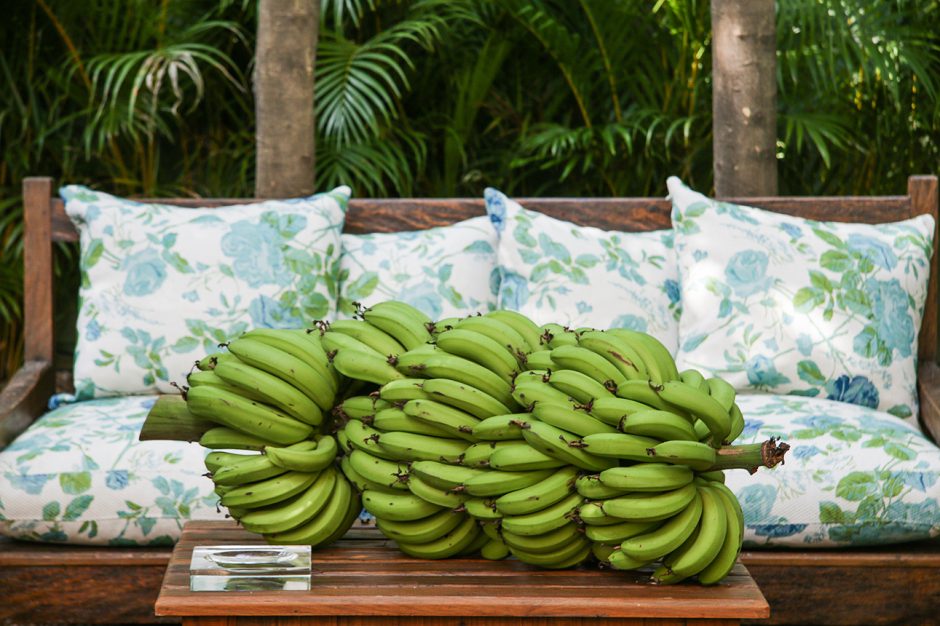 loja conceitual tania bulhoes 