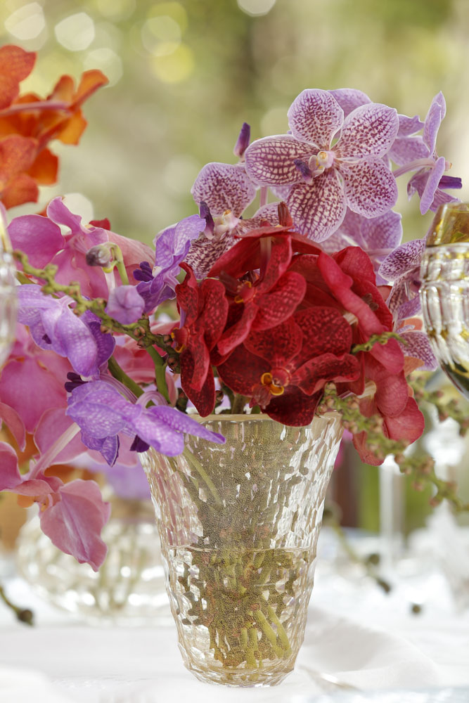 vaso murano Tania Bulhoes