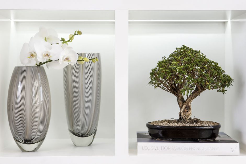 vasos dceorando a sala