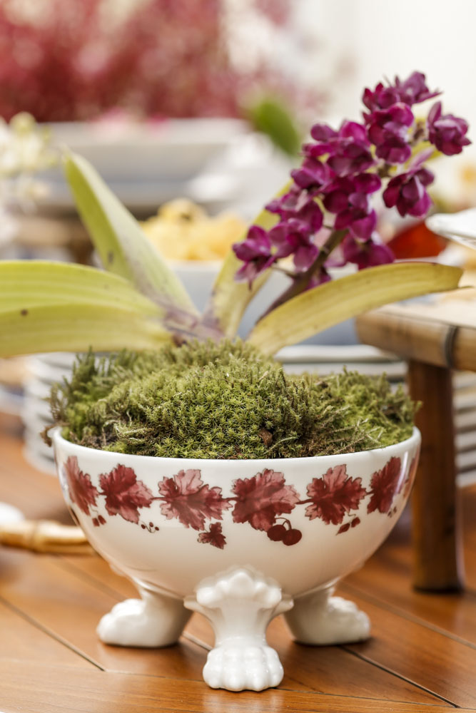 cachepot vinho e branco