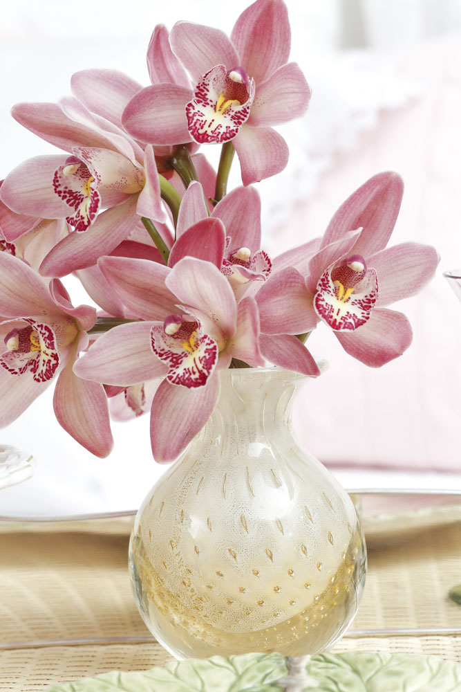orquídeas rosas em vasos cá d'oro 
