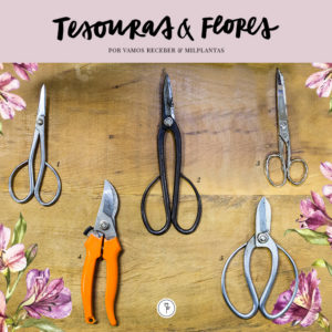 tesouras jardinagem