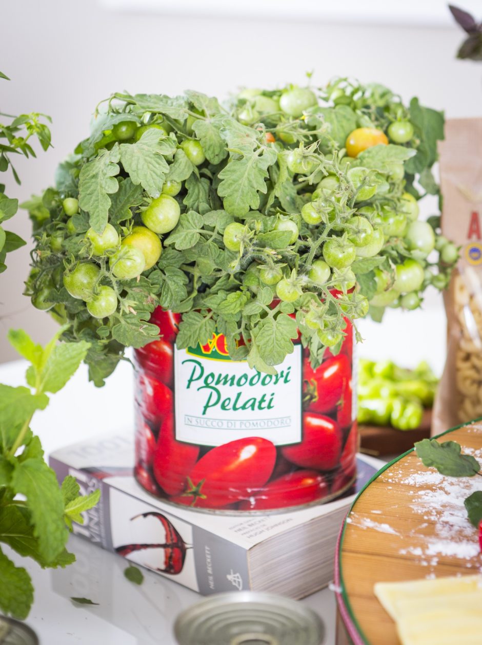 decoração com lata de molho de tomate