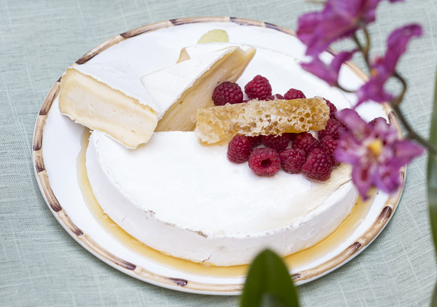 Queijo brie com favas de mel
