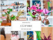 Retrospectiva 2018: C'Á D'Oro